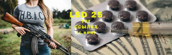 гашик Богданович