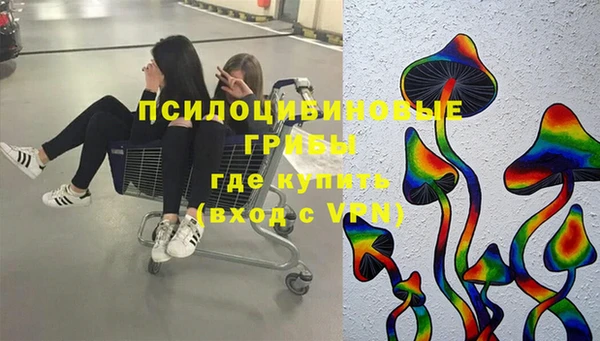 ECSTASY Белокуриха