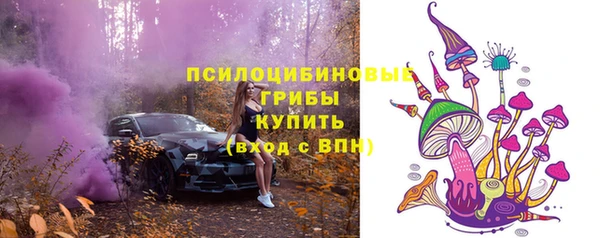 ECSTASY Белокуриха