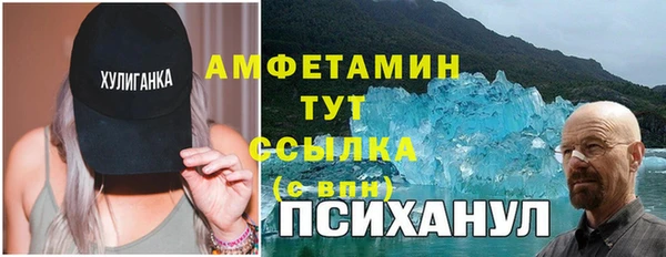 ECSTASY Белокуриха